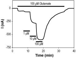 Cyclothiazide – Figure 1 of 2