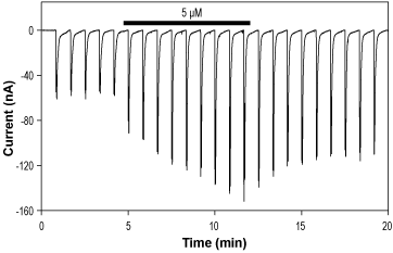 CIQ – Figure 2 of 4