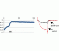 ω-Conotoxin GVIA