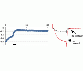 ω-Conotoxin GVIA