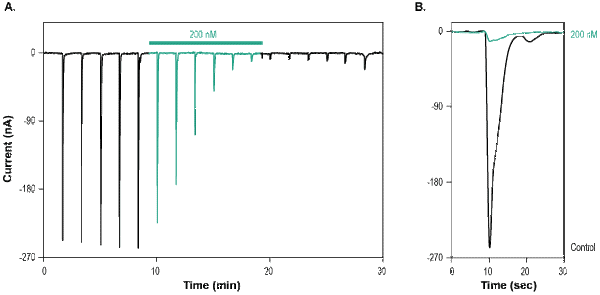 CNS-1102 – Figure 1 of 2