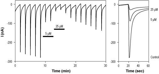 CP 465022 hydrochloride – Figure 1 of 2