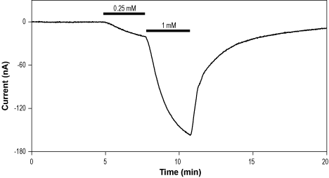 Chlormethiazole hydrochloride – Figure 1 of 2
