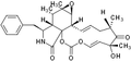 Cytochalasin E – Figure 1 of 2