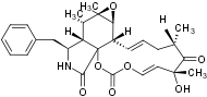 Cytochalasin E – Figure 1 of 2