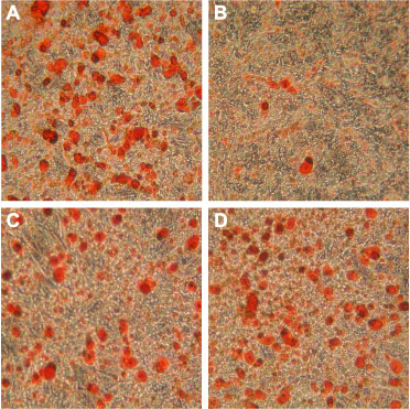 Cyclosporin A – Figure 1 of 2