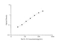 Uncoated Rat IL-18 (Interleukin 18) ELISA Kit – Figure 1 of 4