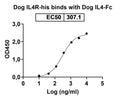 Recombinant Dog CD124/IL4R/IL-4Rα Protein, C-His