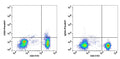 Lymphocytes-gated PBMCs stained with CD25 (7G7B6) iFluor647 and CD4 FITC (left flow panel); Lymphocytes-gated PBMCs stained with mouse IgG2a iFluor647 isotype control and CD4 FITC (right flow panel).