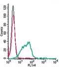 Anti-CD39 (extracellular)-FITC Antibody