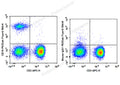 PE/Elab Fluor® 594 Anti-Human CD19 Antibody[CB19] – Figure 3 of 5