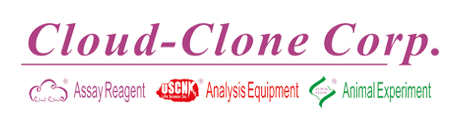 CLOUD CLONE CORP(CCC)