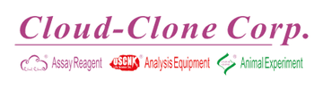 CLOUD CLONE CORP(CCC)