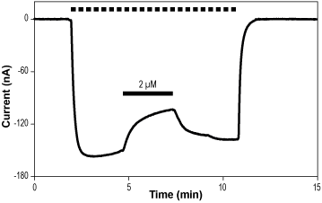 GABA(A)-Compound 1b – Figure 1 of 2