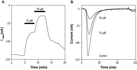 NaV1.7-Compound 36 – Figure 1 of 2