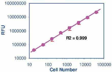 CellQuanti-Blue™ Cell Viability Assay Kits