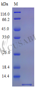 Recombinant Mouse C-X-C motif chemokine 3 protein (Cxcl3), partial (Active) – Figure 1 of 1