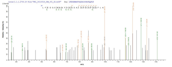 Based on the SEQUEST from database of Baculovirus host and target protein, the LC-MS/MS Analysis result of CSB-BP006832HU could indicate that this peptide derived from Baculovirus-expressed Homo sapiens (Human) DGKA.