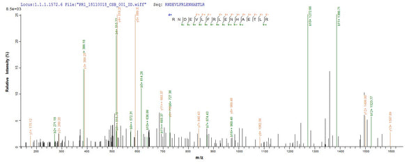 Based on the SEQUEST from database of Baculovirus host and target protein, the LC-MS/MS Analysis result of CSB-BP324948VAA could indicate that this peptide derived from Baculovirus-expressed Vaccinia virus (strain Copenhagen) (VACV) A27L.