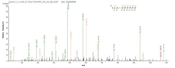 Based on the SEQUEST from database of Baculovirus host and target protein, the LC-MS/MS Analysis result of CSB-BP356390VBG could indicate that this peptide derived from Baculovirus-expressed Human adenovirus C serotype 5 (HAdV-5) (Human adenovirus 5) DBP.