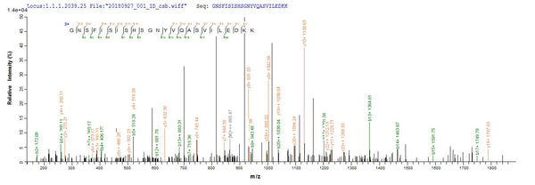 Based on the SEQUEST from database of Baculovirus host and target protein, the LC-MS/MS Analysis result of CSB-BP669769SBAF could indicate that this peptide derived from Baculovirus-expressed Streptococcus pyogenes serotype M28 (strain MGAS6180) acpS.