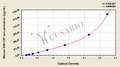 Mouse Granulocyte-Macrophage Colony Stimulating Factor,GM-CSF ELISA Kit