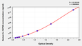 Human Interleukin 12,IL-12/P40 ELISA KIT