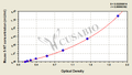 Mouse 5-Nucleotidase,5-NT ELISA Kit