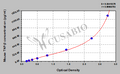 Mouse Tumor necrosis factor β,TNF-β ELISA KIT