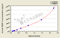 Human Vascular Endothelial cell Growth Factor C,VEGF-C ELISA KIT