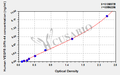 Human Vascuar endothelial cell growth factor receptor 3,VEGFR-3/Flt-4 ELISA Kit