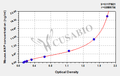 Mouse Atrial Natriuretic Peptide,ANP ELISA Kit