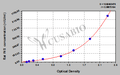 Rat Insulin,INS ELISA Kit