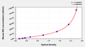 Mouse Insulin,INS ELISA Kit