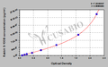 Rabbit Soluble protein-100B,S-100B ELISA Kit