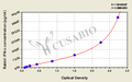 Rabbit Interferon α,IFN-α ELISA Kit