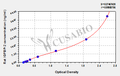 Rat Insulin-like growth factor binding protein 2,IGFBP-2 ELISA kit