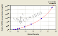 Rat Interleukin 12,IL-12/P40 ELISA KIT