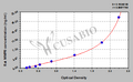 Rat matrix metallopeptidase 8 (neutrophil collagenase) (MMP8) ELISA kit