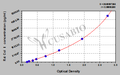 Rat Collagen Type Ⅰ,Col Ⅰ ELISA Kit