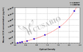 Mouse Cholecystokinin,CCK ELISA Kit