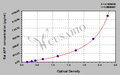Rat Alpha-fetoprotein,AFP ELISA Kit