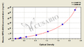 Mouse myeloperoxidase-antineutrophil cytoplasmic antibody ELISA kit