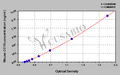 Mouse Clara cell protein,CC16 ELISA Kit