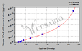 Mouse nuclear factor-κB p65,NF-κB p65 ELISA Kit