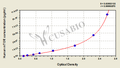 Human mammalian target of rapamyein,mTOR ELISA Kit