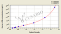 Human Lysozyme,LZM ELISA Kit