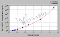 Rat heat shock protein 27,HSP-27 ELISA Kit