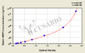 Rabbit matrix metalloproteinase 3,MMP-3 ELISA kit
