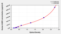 Human Receptor for advanced glycation end products, RAGE/AGER ELISA Kit